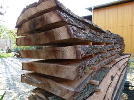 Holzschnitt Baumstamm